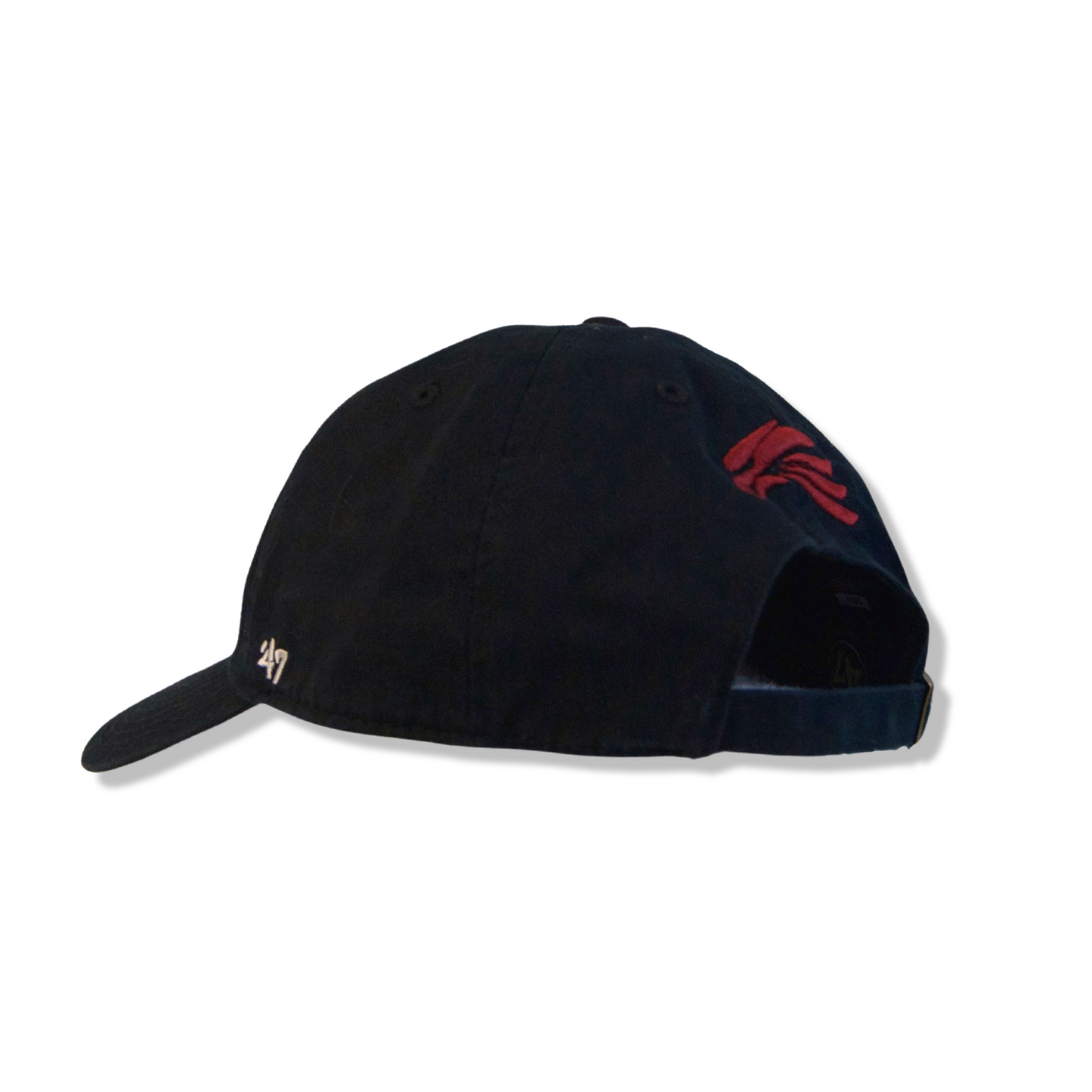 HAWKS Cap in Black